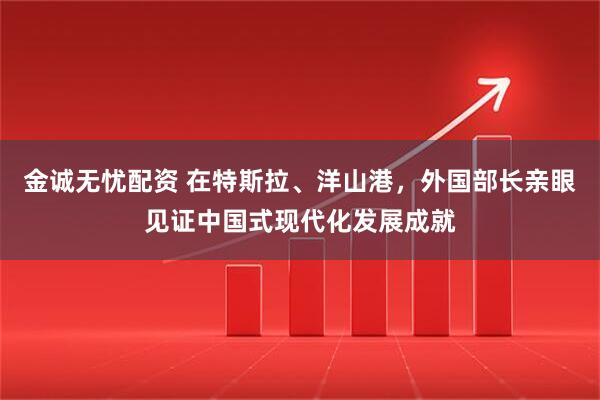 金诚无忧配资 在特斯拉、洋山港，外国部长亲眼见证中国式现代化发展成就