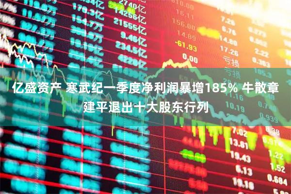 亿盛资产 寒武纪一季度净利润暴增185% 牛散章建平退出十大股东行列